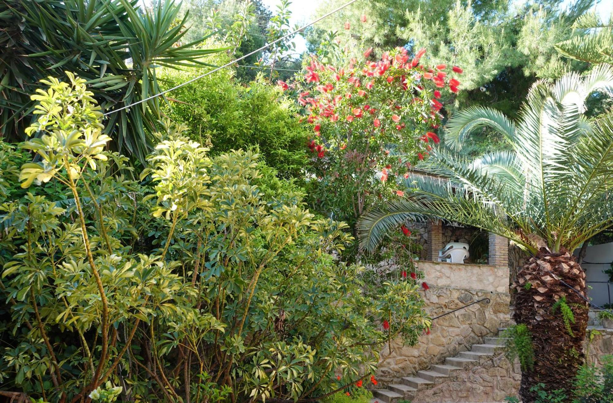 דירות אליקאנאס Lithari Penthouse מראה חיצוני תמונה