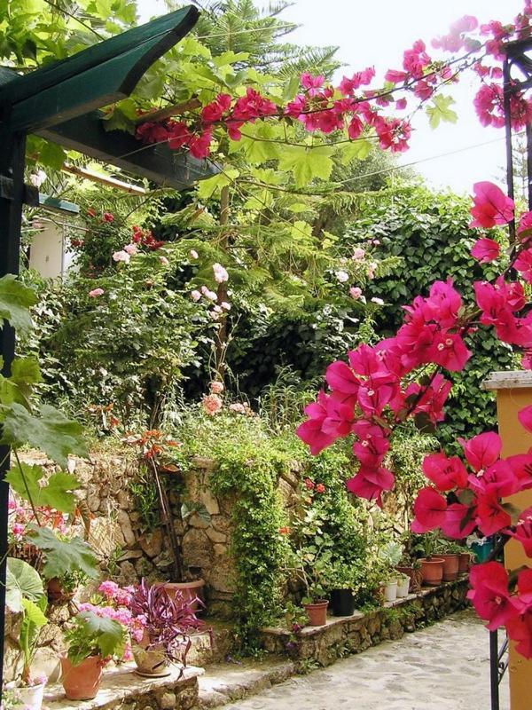 דירות אליקאנאס Lithari Penthouse מראה חיצוני תמונה